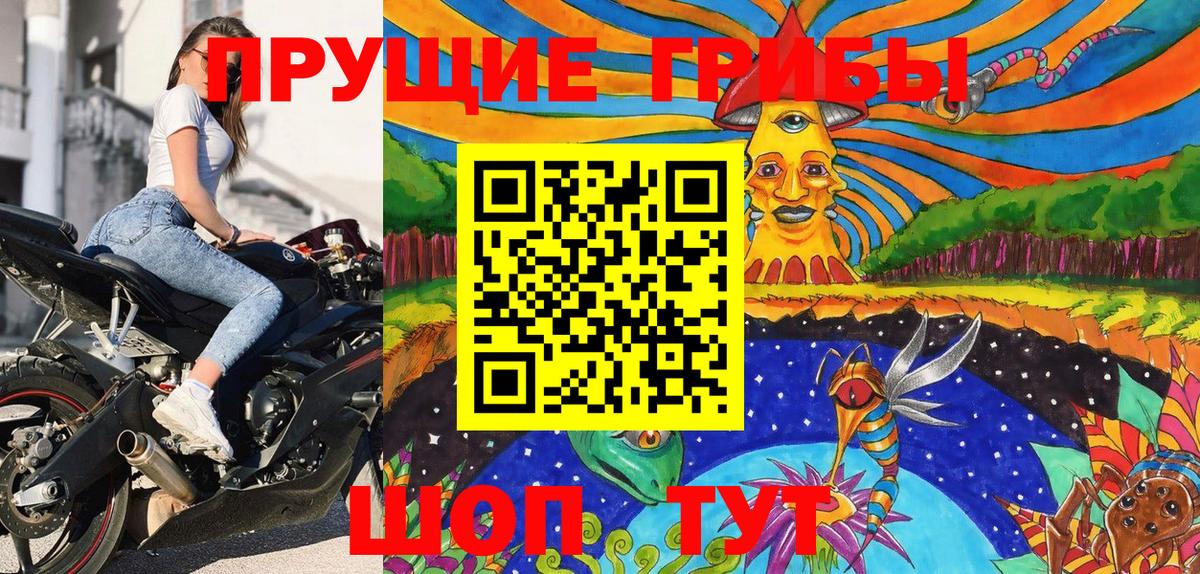 Псилоцибиновые грибы Cubensis  Псилоцибиновые грибы прущие грибы  Вход с VPN  Гай 