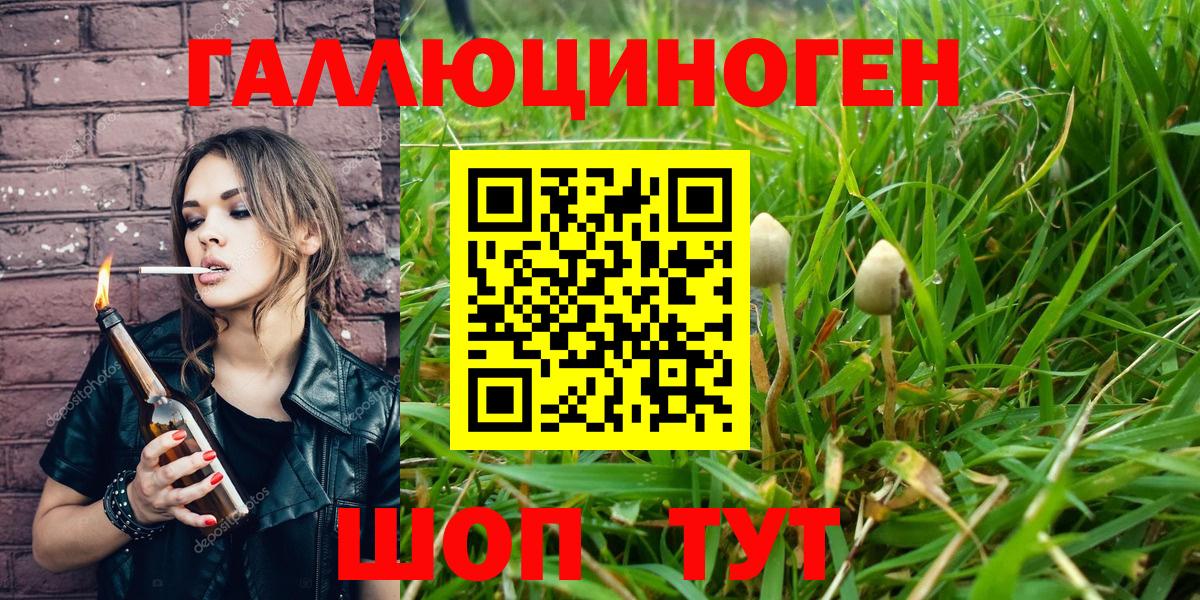 Псилоцибиновые грибы MAGIC MUSHROOMS Гай
